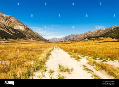 The Ahuriri track, in the conservation park, leading through a