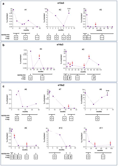 Results Of Ddpcr Analysis For Bcr Abl1 Quantification Of Patients With Download Scientific