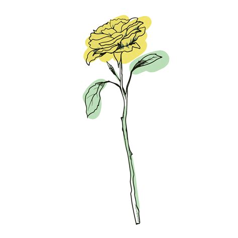 yellow rose flower freehand drawing 6795858 Vector Art at Vecteezy