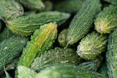 important bitter substances  vegetables   healthy nutrition