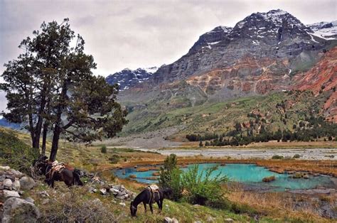 Reapertura de la Reserva Nacional Río de Los Cipreses Diario El Pulso