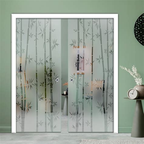 Double Pocket Door with Frosted and Tempered Glass Design – DoorDiscounter