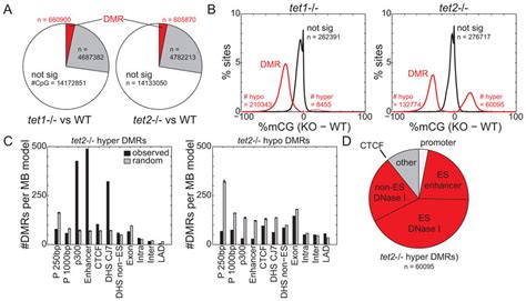 Hypermethylation Of Enhancers In Tet Cells Genome Wide Dna