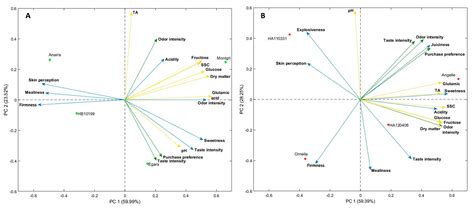 Cherry and Fresh Market Tomatoes: Differences in Chemical