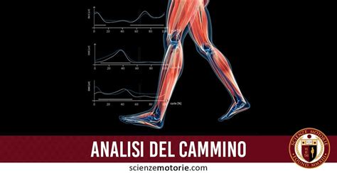 Analisi Del Cammino 1 Parte Scienze Motorie