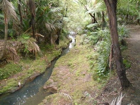 Kitekite Falls... My New Favourite Place in the World | Bossing New Zealand