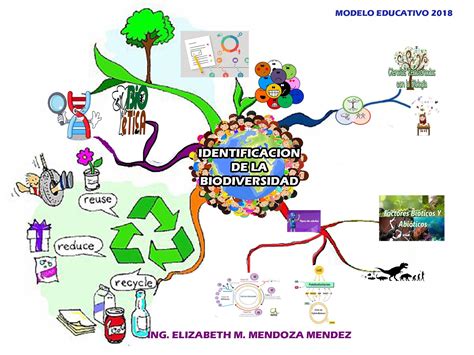 Identificaci N De La Biodiversidad Mapa Del Modulo