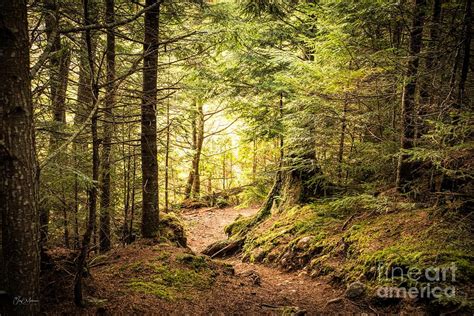 The Trails Of Baxter State Park Photograph By Jan Mulherin Pixels