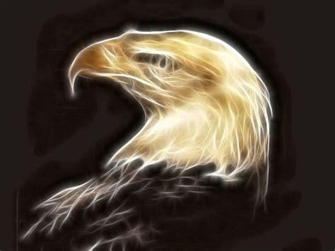 Fractal Animal Birds Animals Fractalius Eagles Spirit 1400x1050