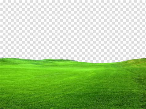 Green Grass FILE Use freely, green grass field illustration transparent background PNG clipart ...