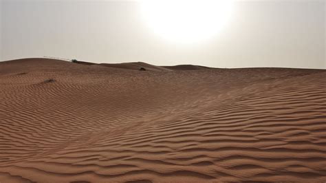 🔥 [60+] Sand Dunes Wallpapers | WallpaperSafari