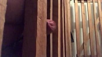 Gran corrida en el sótano XVIDEOS