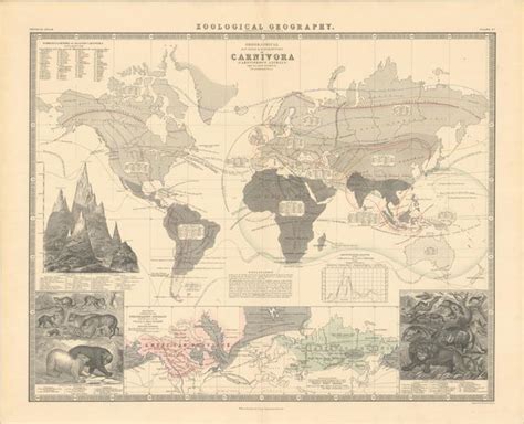 Old World Auctions Auction 187 Lot 30 Geographical Divisions