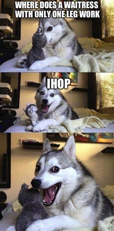 dad joke dog ideas dog jokes animal jokes funny animal memes
