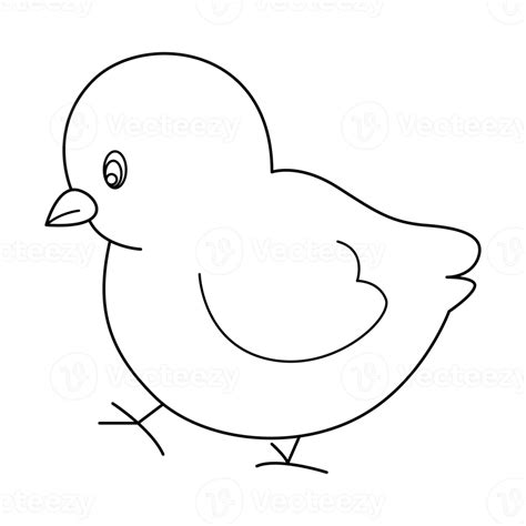 Chick Outline Vector Cartoon Design On Transparent Background 9592743 PNG