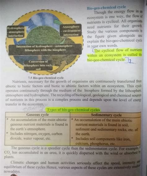 State The Different Types Of Bio Geo Chemical Cycles And Explain The