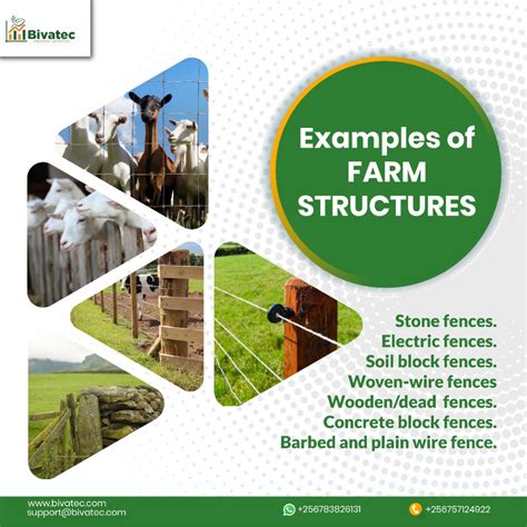 Exploring the Different Types of Farm Structures