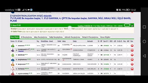 Ekim Cumartesi Ankara At Yar Tahminleri Ankara Alt L Ganyan