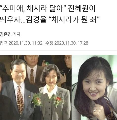 채시라 닮은 애미추 젊은시절 정치시사 에펨코리아