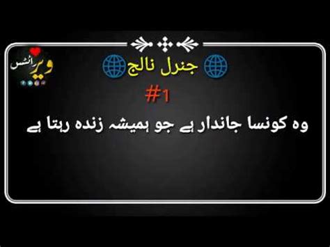 Generale Knowledge Urdu Pahaliyan Answer The Question Youtube