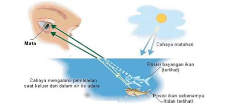 Detail Contoh Gambar Pembiasan Cahaya Koleksi Nomer