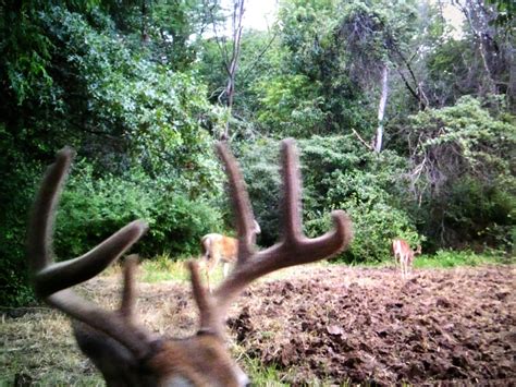 Gander Outfitter - Home | Facebook