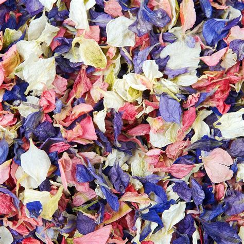 Biodegradable Petal Wedding Confetti With Pail By Shropshire Petals ...