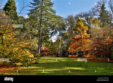 Westonbirt Arboretum Trees Hi Res Stock Photography And Images Alamy