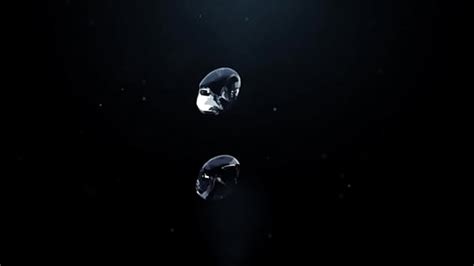 Veronica Avluv Pissing Search Xvideos