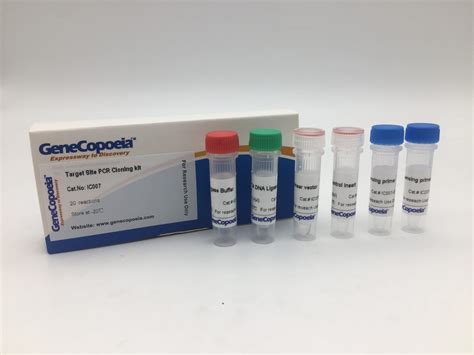 Smart Join Blunt End Pcr Cloning Kit Igenebio