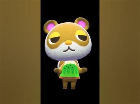 animal crossing facts  sylvana youtube