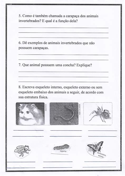 Plano De Aula O Ano Como Coberto O Corpo Dos Animais