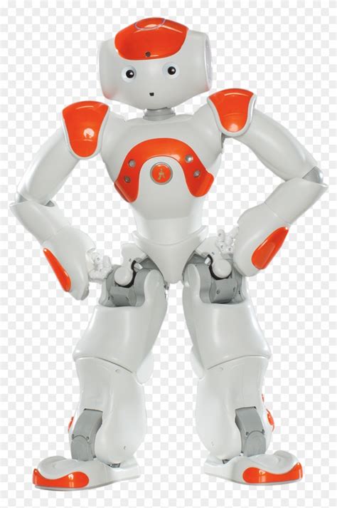 Nimble Nao Robot Social Robot Nao Hd Png Download 800x1184