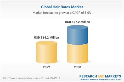 Hair Botox Market Size Share And Trends Analysis Report By Application