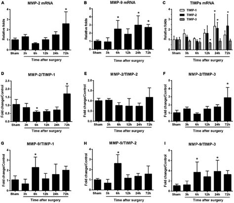 Hippocampal Matrix Metalloproteinases MMPs And Tissue Inhibitors Of