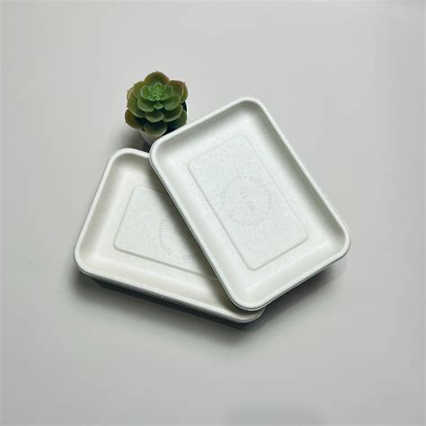 Disposable Rectangular Sugarcane Bagasse 200 140 15mm Supermarket