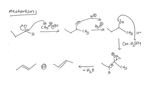 Solved Question 6 1 Point Retake Question Which Reagents Are