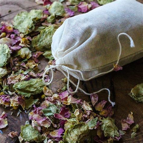 Nervine Herbs: Hops for Relaxation & a Restful Night's Sleep | Herbal ...