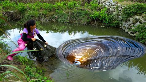 Beautiful Woman Goes To The Ground To Catch River Clams It S Really A