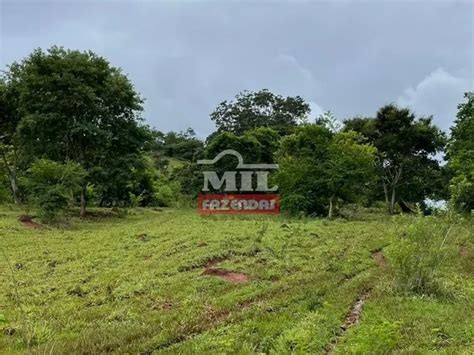 Fazenda De 21 5 Alqueires 104 Hectares Em Trindade GO Terrenos