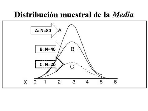 Distribucin Muestral De La Media Recuerda Un Elemento