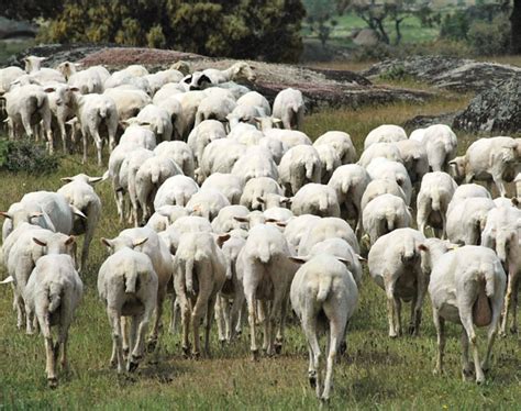 Castilla Y Le N Destina Millones De Euros A La Agricultura Y A La