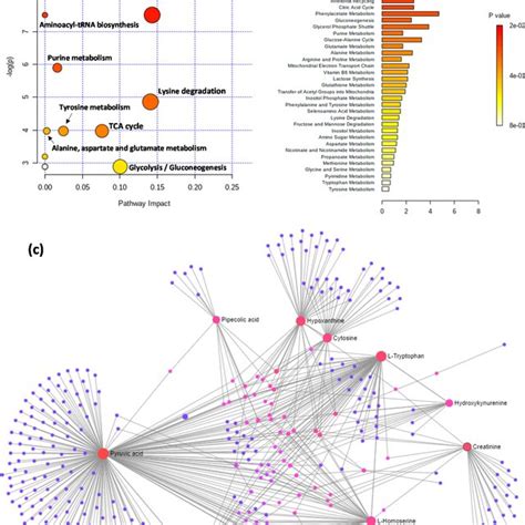 Pathway Analysis Of The Significantly Altered Metabolites In