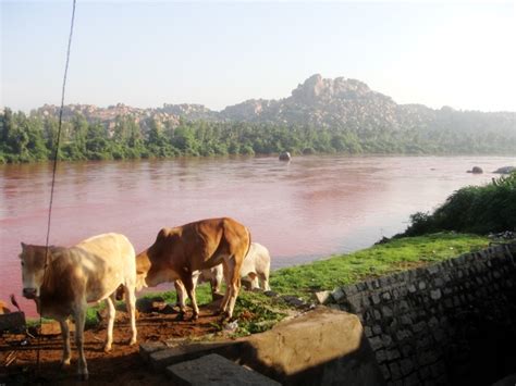 River Turns Red at Hampi after Rain | Veethi