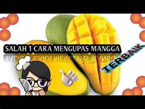 CARA MENGUPAS MANGGA YouTube