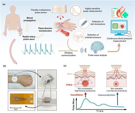 A Flexible Multimodal Pulse Sensor For Wearable Continuous Blood