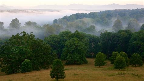 Biltmore Estate in Asheville, North Carolina | Expedia