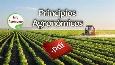 Principios Agron Micos Bases Para Una Teor A Agron Mica Infoagronomo