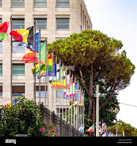 Rome, Italy - August 1, 2021: Flag of United Nations and participating ...