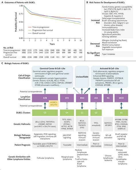 Diffuse Large B Cell Lymphoma New England Journal Of Medicine